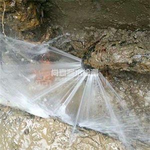 高阳消防管道漏水检测
